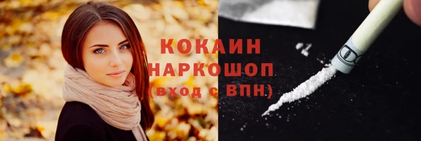 прущие грибы Алзамай