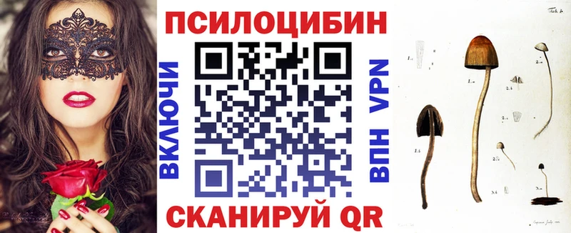 Псилоцибиновые грибы Psilocybine cubensis  Катайск 